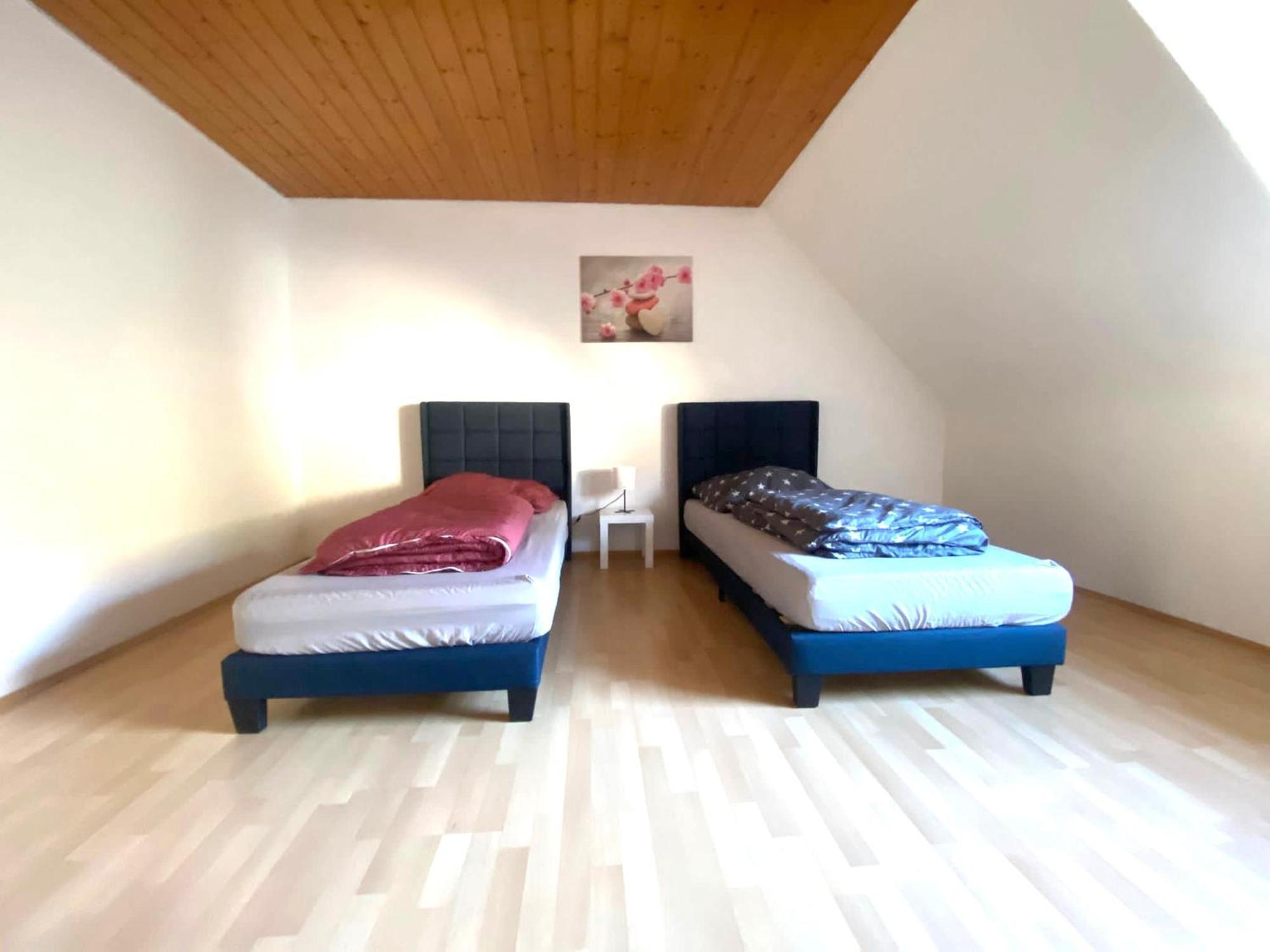 Komfortables Apartment 卡尔斯鲁厄 外观 照片